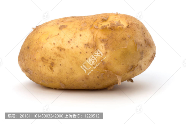 馬鈴薯