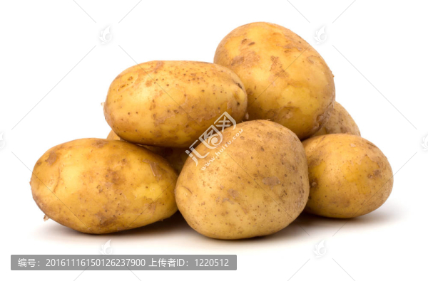 土豆