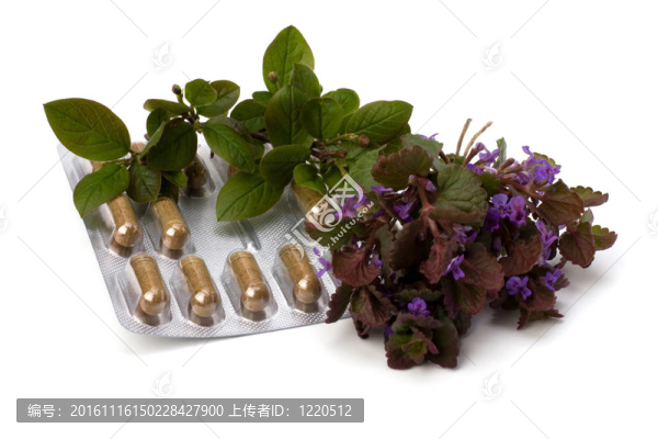 白背景中藥