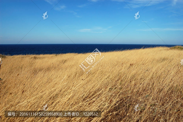 黃草田；碧海藍(lán)天