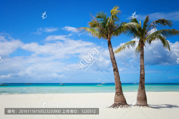 完美的海灘