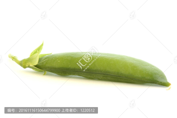 莢豌豆