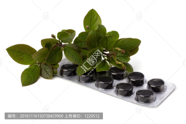 白背景中藥