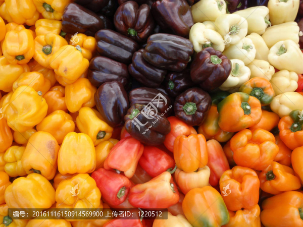 一束多顏色的辣椒