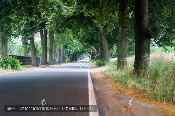 高速公路
