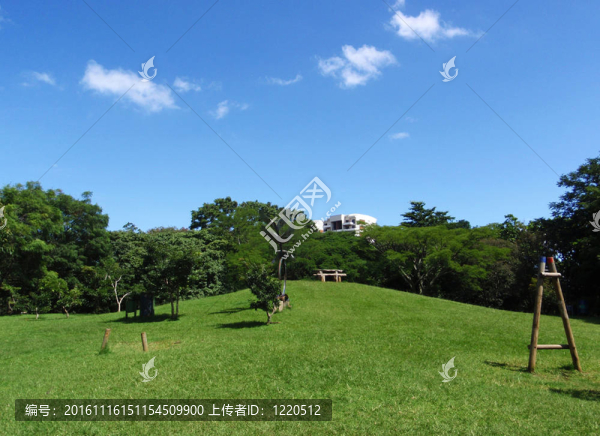 在國家公園在圣若澤空游戲區(qū)；哥斯達黎加