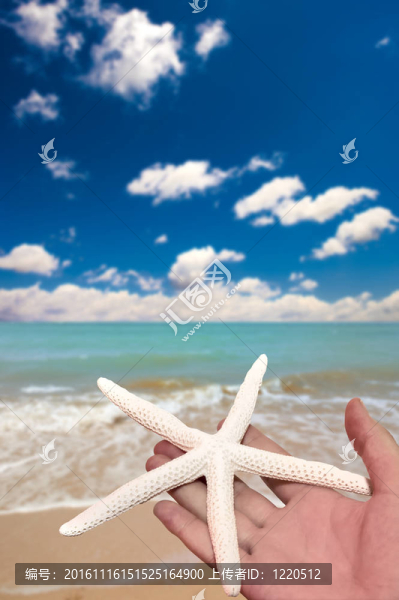 拿著海星