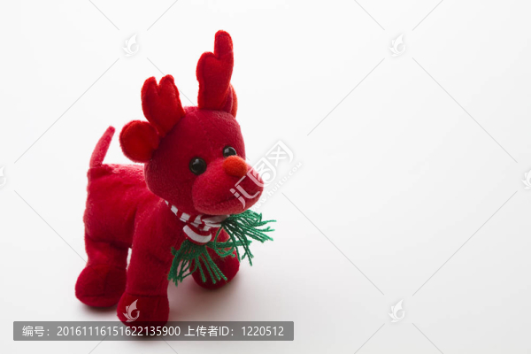 小馴鹿