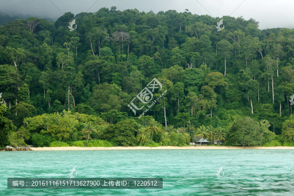 熱帶海景