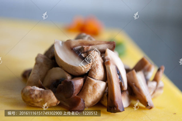 一群蘑菇