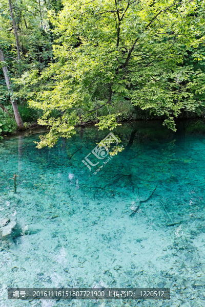 在plitvicke國家公園這美麗的湖