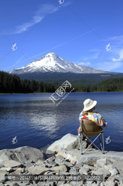 一個(gè)視圖。