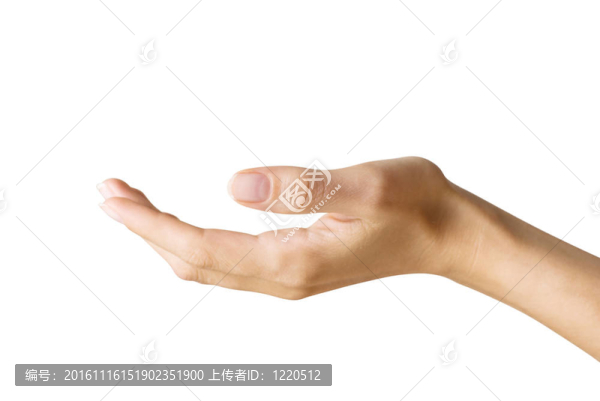 女人的手