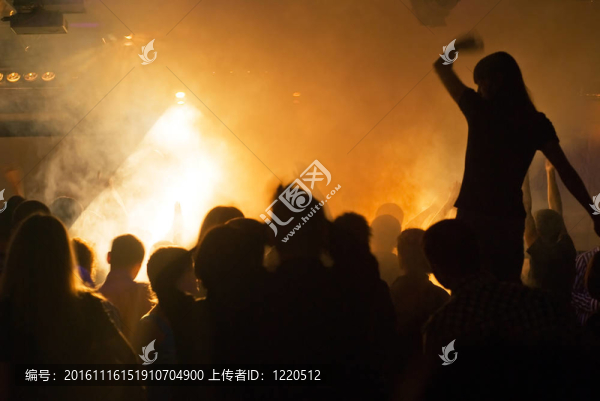 音樂(lè)會(huì)的人群