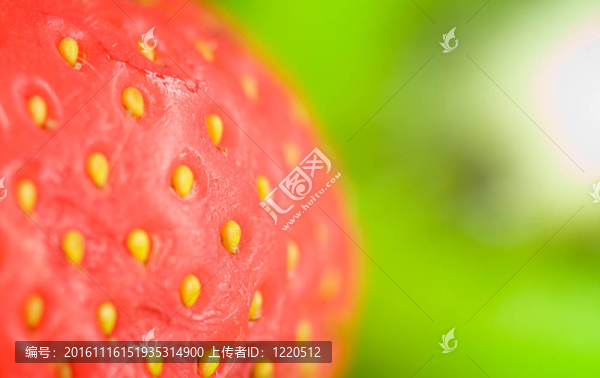 草莓