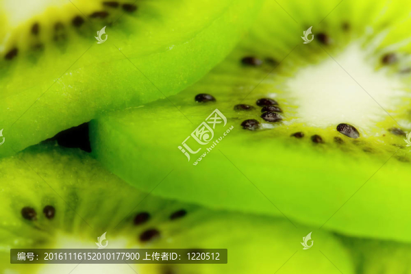 幾維鳥(niǎo)