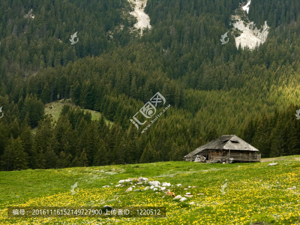 小屋在山羊圈