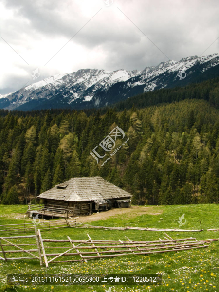 小屋在山羊圈