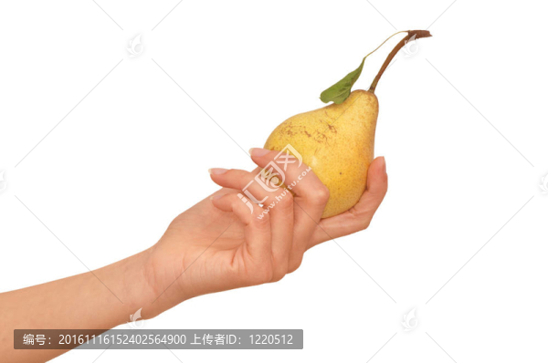 黃梨