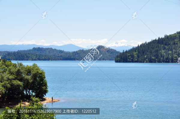 在沙斯塔湖初夏