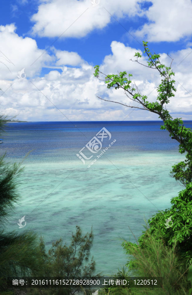 沖繩海