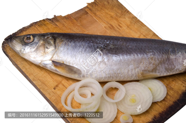 帶洋蔥的鯡魚在舊木板上