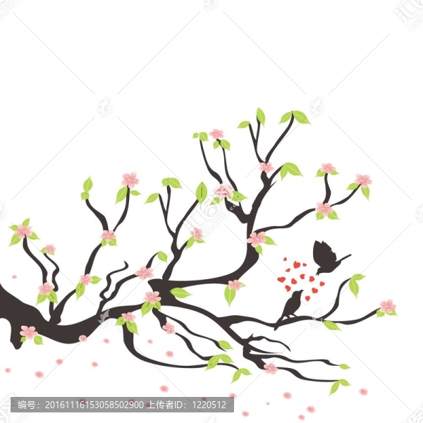 可愛的小鳥在春天的梅花樹上
