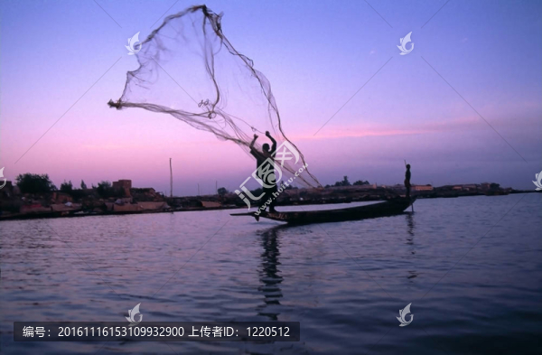 日落投擲釣魚網(wǎng)