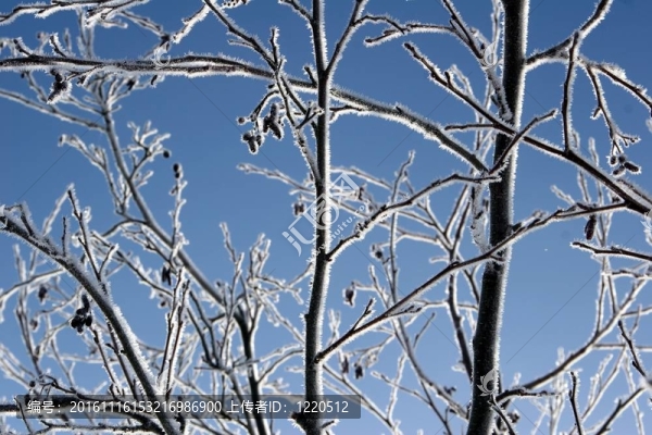下雪的冬天