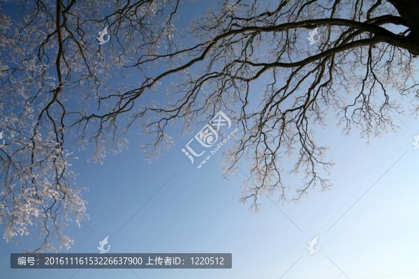 丹麥的冬天