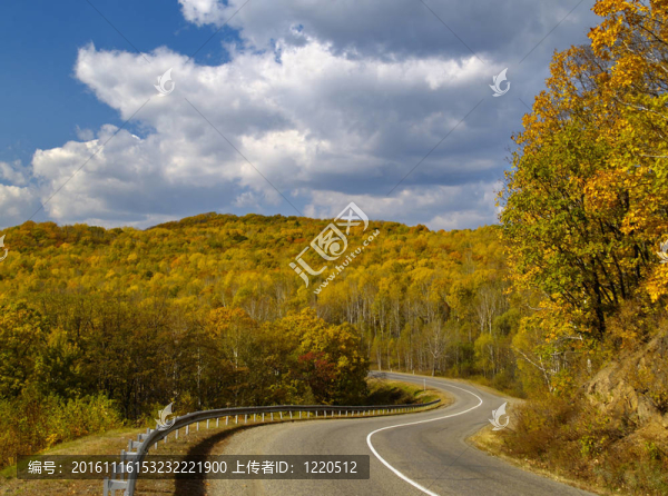 秋天的木材和道路