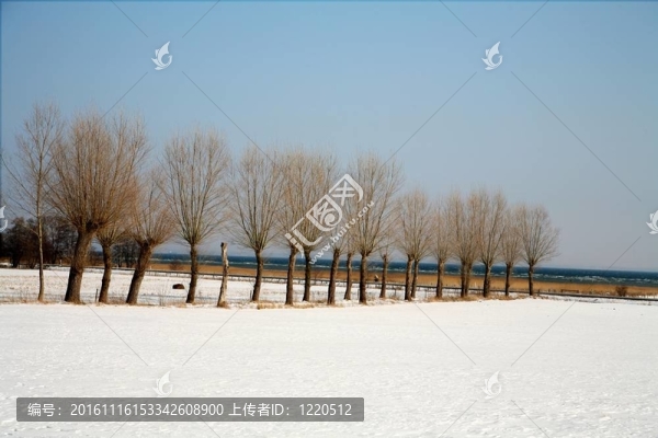 下雪的冬天