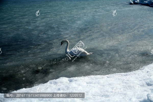 丹麥的冬天