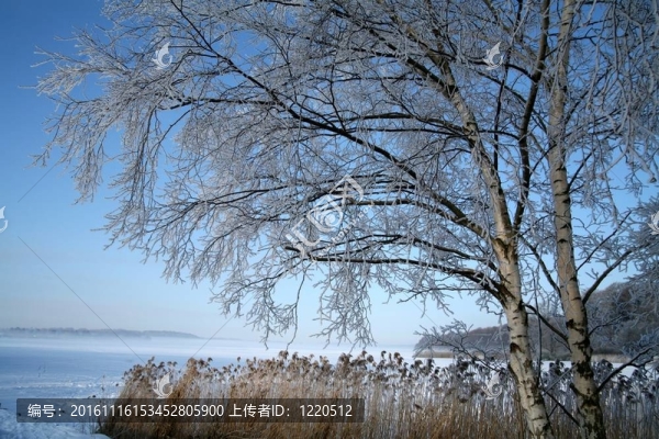 丹麥的冬天