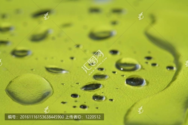 水