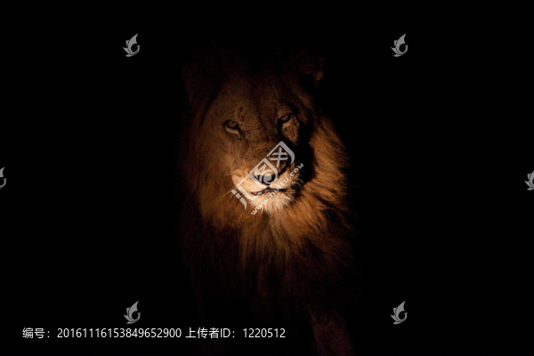 獅子