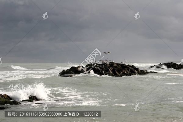 海灘活動(dòng)