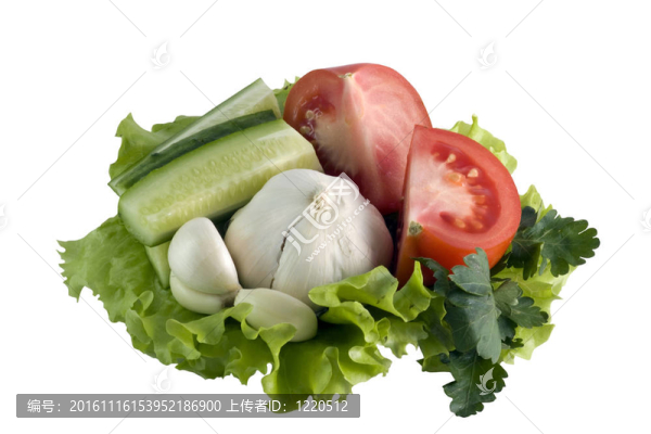 蔬菜