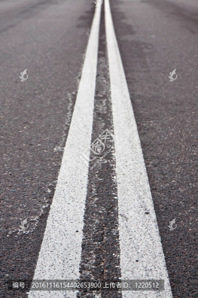 道路上的雙白紋