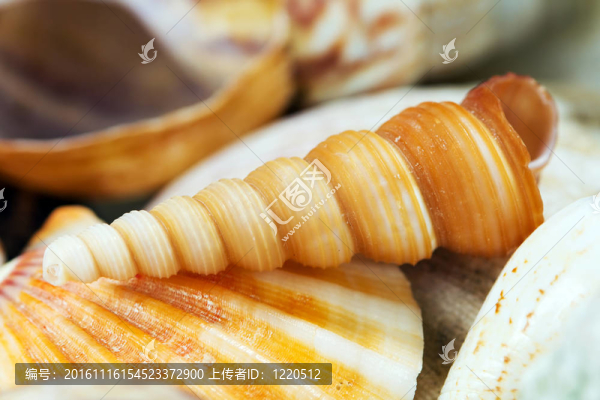 輕舟