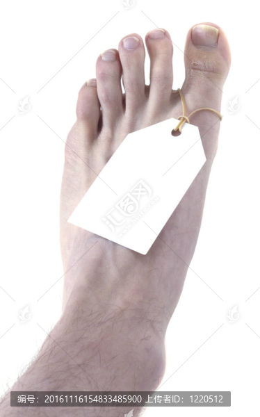 腳趾頂部視圖