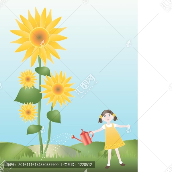 澆水的向日葵