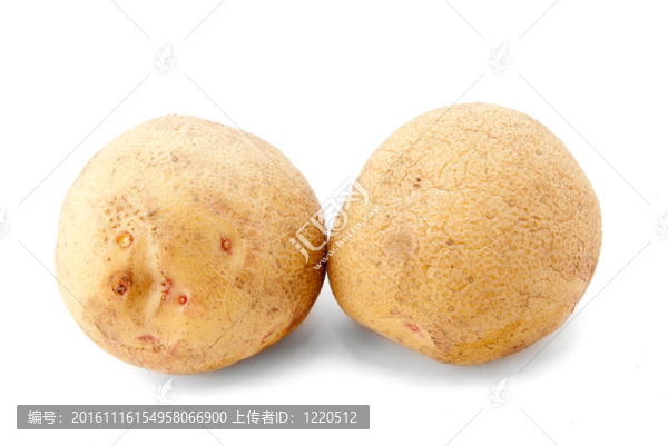 白背景上的兩個(gè)土豆隔離