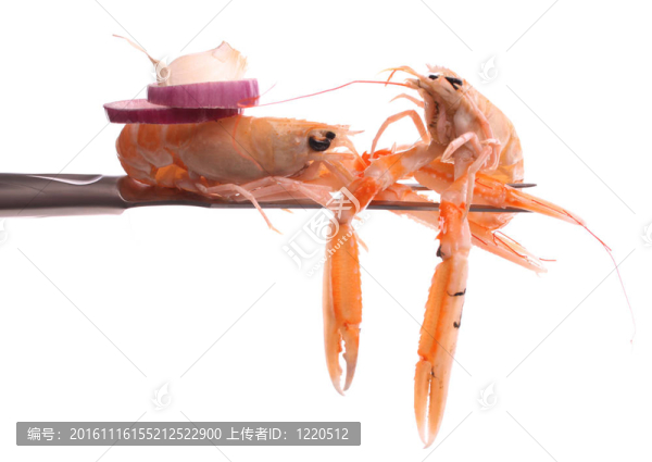 蝦在叉