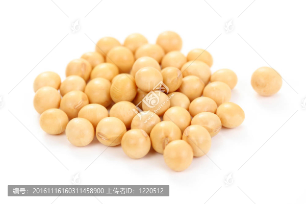 大豆
