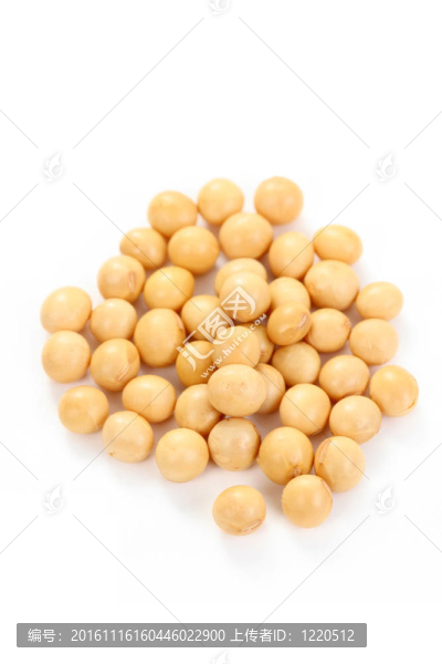 大豆