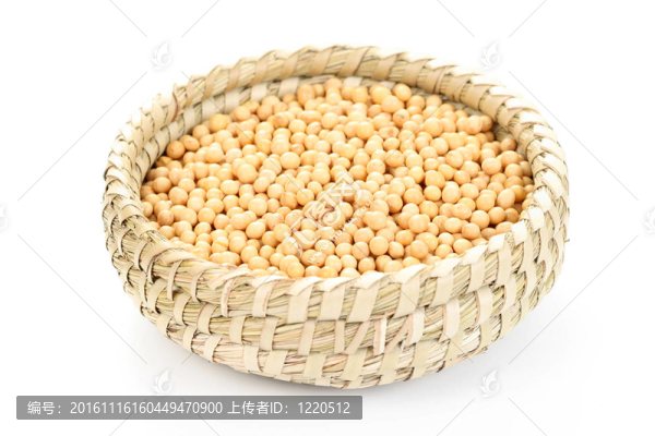 大豆