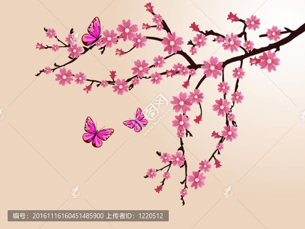 櫻花