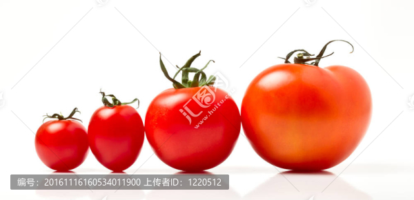 番茄摘要