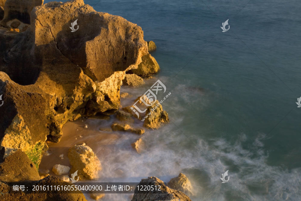 海岸